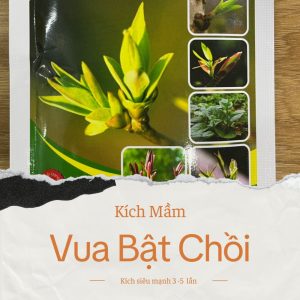 Combo Thuốc Kích Rễ Root King và Vua Bật Chồi