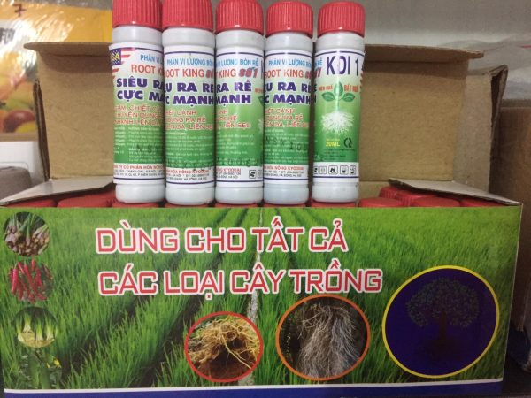 Thuốc Kích Rễ Root King