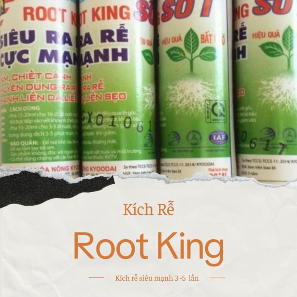 Combo Thuốc Kích Rễ Root King và Vua Bật Chồi - Hình ảnh 2