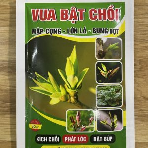 Vua Bật Chồi
