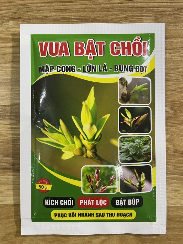 Vua Bật Chồi